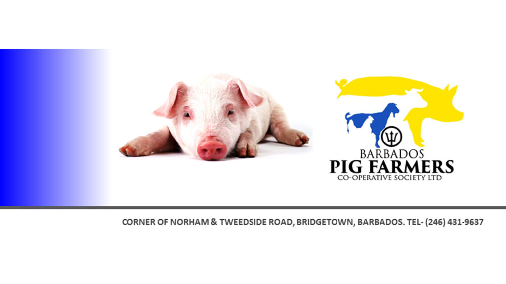 326783114_6469474805…_imresizer