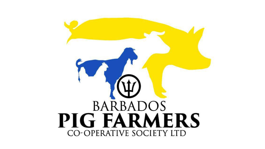 327310036_8949169418…_imresizer