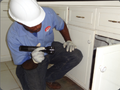 Screenshot 2026-02-02 at 11-52-03 Agron Pest Control Services Inc – Pest Control Services & Exterminator Services in Fitts Village St. James FindYello