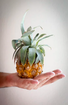 Screenshot 2026-02-02 at 12-25-36 Gallery — The Deck at Sugar Hill