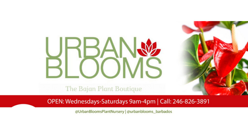 Screenshot 2026-02-1…_imresizer(16)