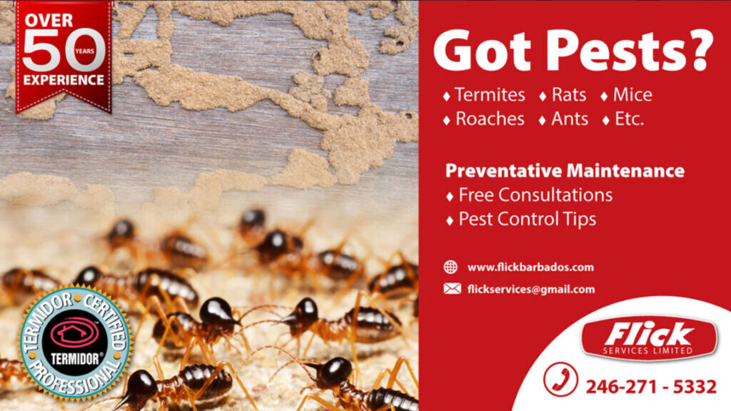 Screenshot 2026-02-1…_imresizer(33)