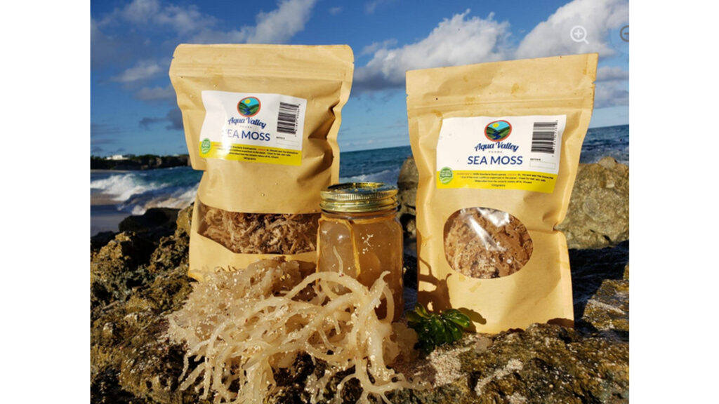 Screenshot 2026-02-1…_imresizer(8)